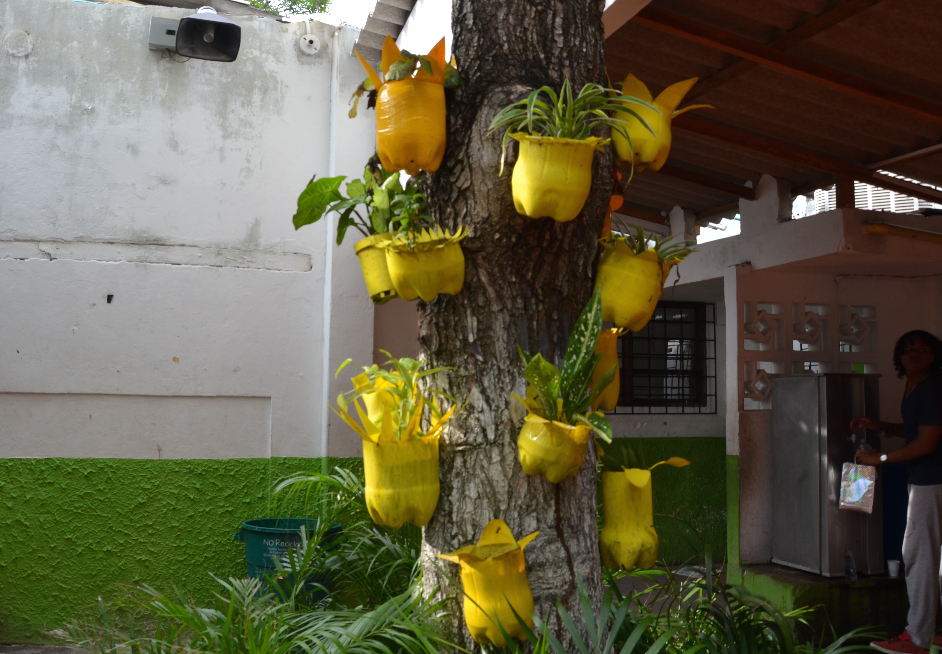Consiste en Reutilizar botellas plásticas que decoradas sirven para sembrar plantas pequeñas.