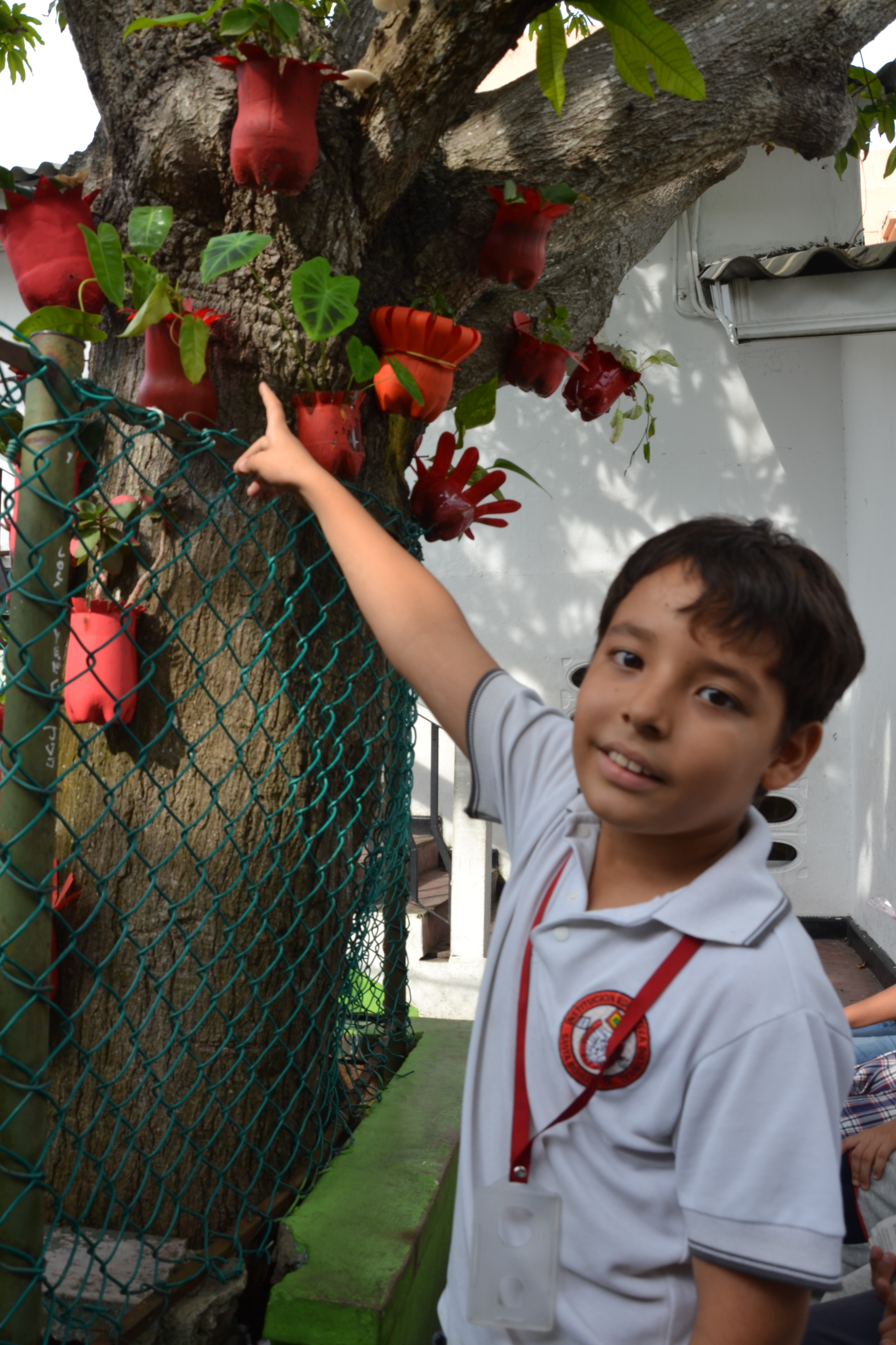 Sebastian nos muestra con orgullo su jardín vertical.